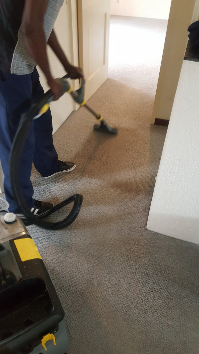 Carpets and Upholstery